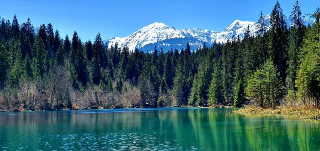 Stilvolle Ferienwohnung Direkt An Der Skipiste Flims Bagian luar foto
